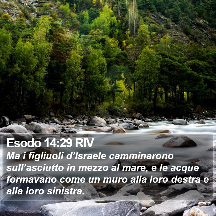 Esodo 14:29 RIV Bible Study