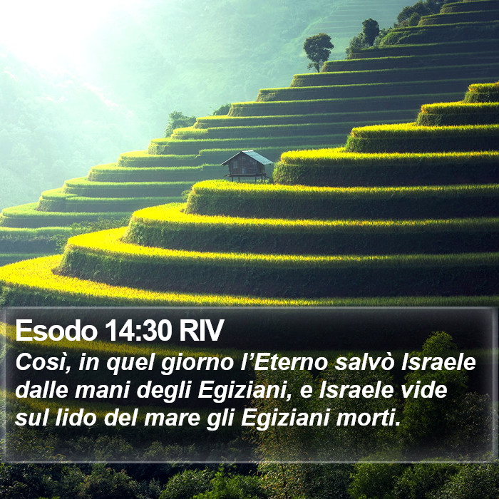 Esodo 14:30 RIV Bible Study
