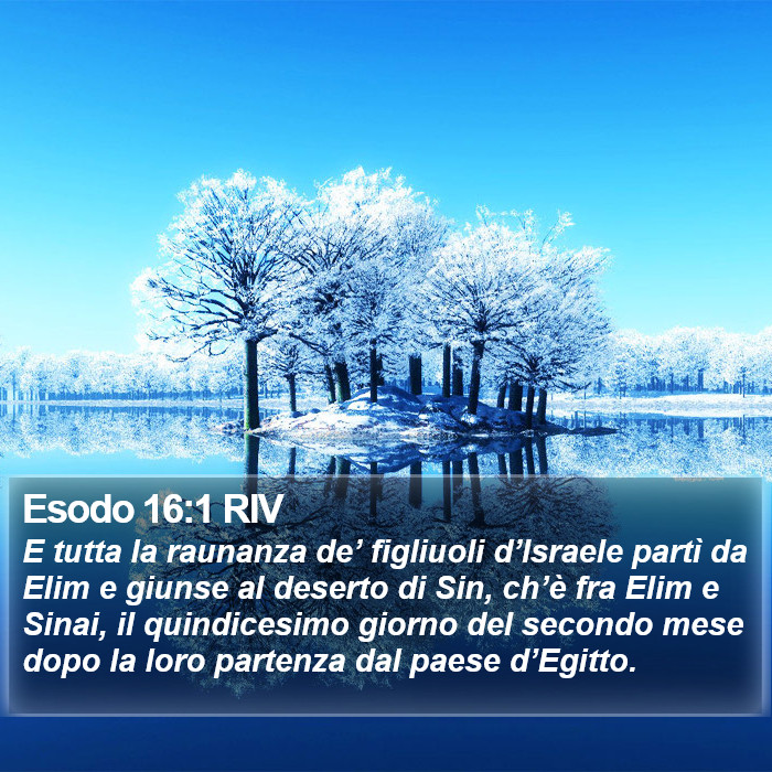 Esodo 16:1 RIV Bible Study