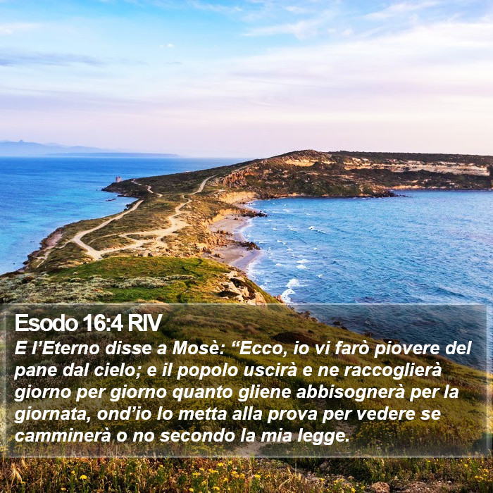 Esodo 16:4 RIV Bible Study