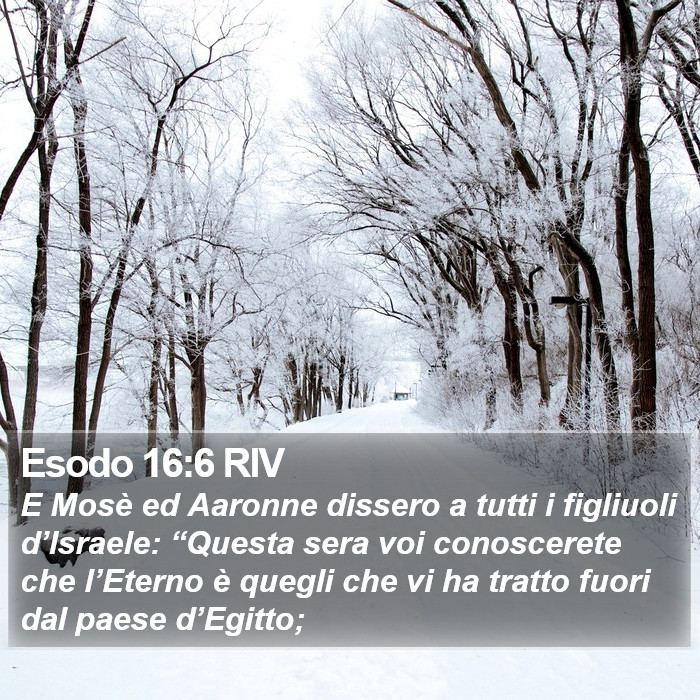 Esodo 16:6 RIV Bible Study