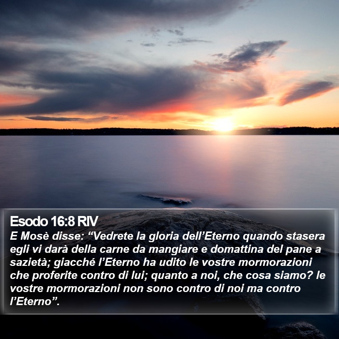 Esodo 16:8 RIV Bible Study