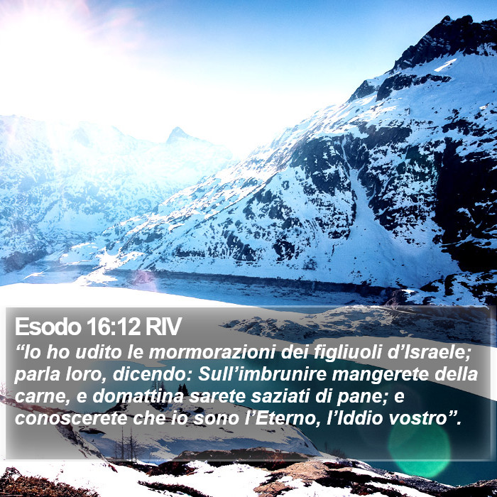 Esodo 16:12 RIV Bible Study