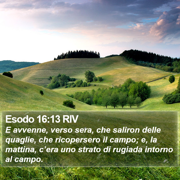 Esodo 16:13 RIV Bible Study