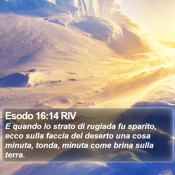 Esodo 16:14 RIV Bible Study