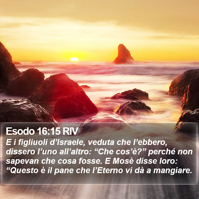 Esodo 16:15 RIV Bible Study