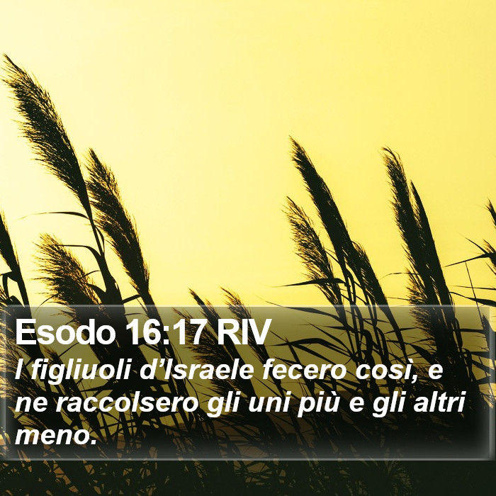 Esodo 16:17 RIV Bible Study