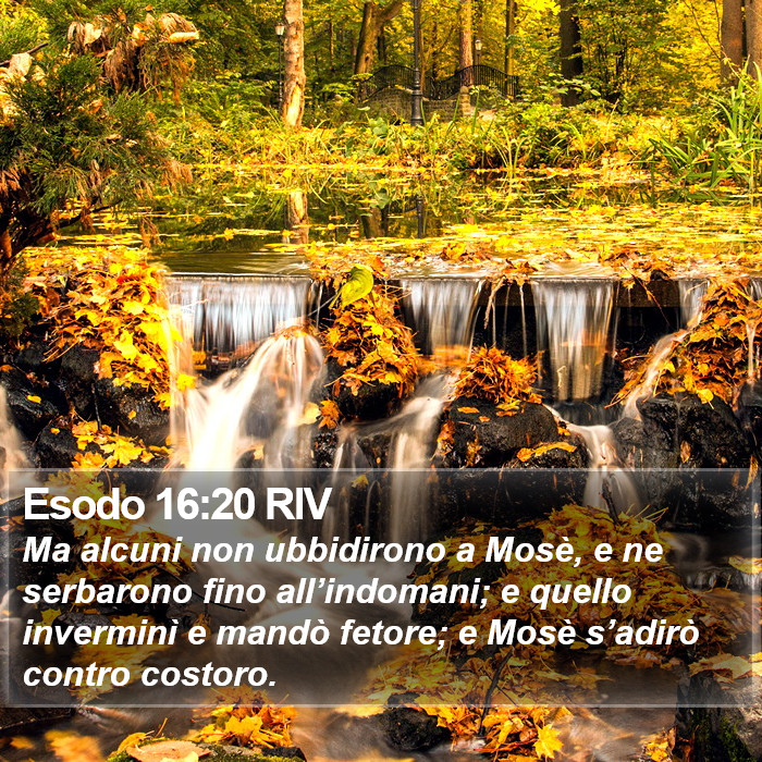 Esodo 16:20 RIV Bible Study