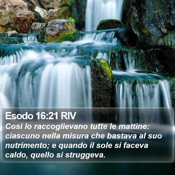 Esodo 16:21 RIV Bible Study