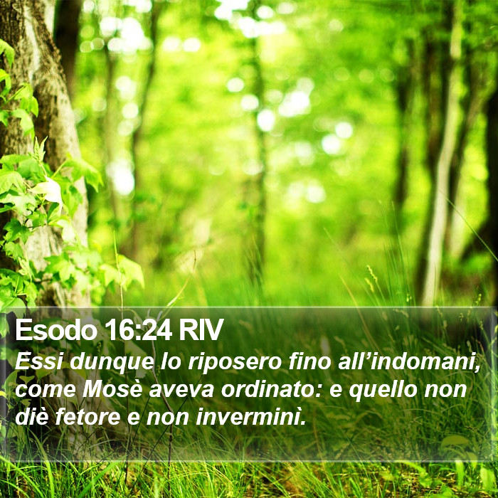 Esodo 16:24 RIV Bible Study