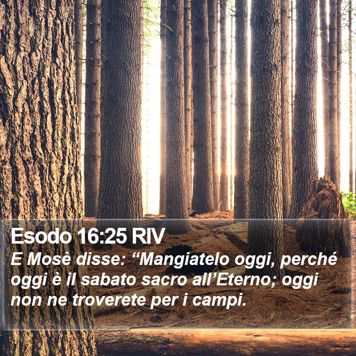 Esodo 16:25 RIV Bible Study