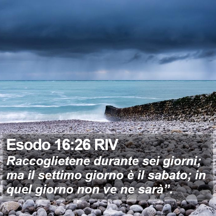 Esodo 16:26 RIV Bible Study