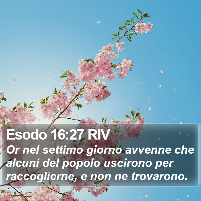 Esodo 16:27 RIV Bible Study