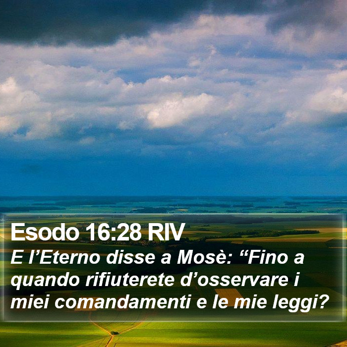 Esodo 16:28 RIV Bible Study