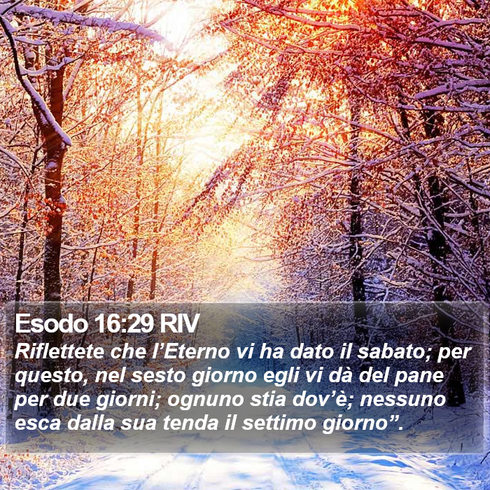 Esodo 16:29 RIV Bible Study