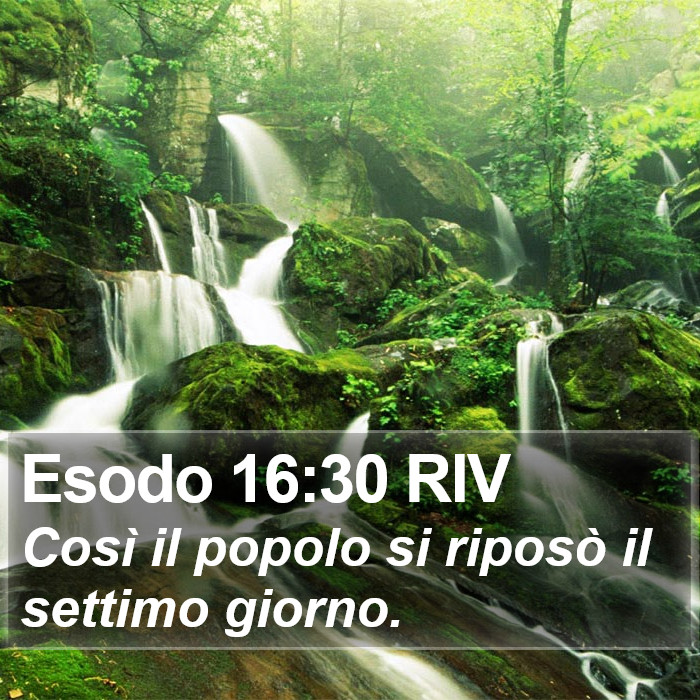 Esodo 16:30 RIV Bible Study