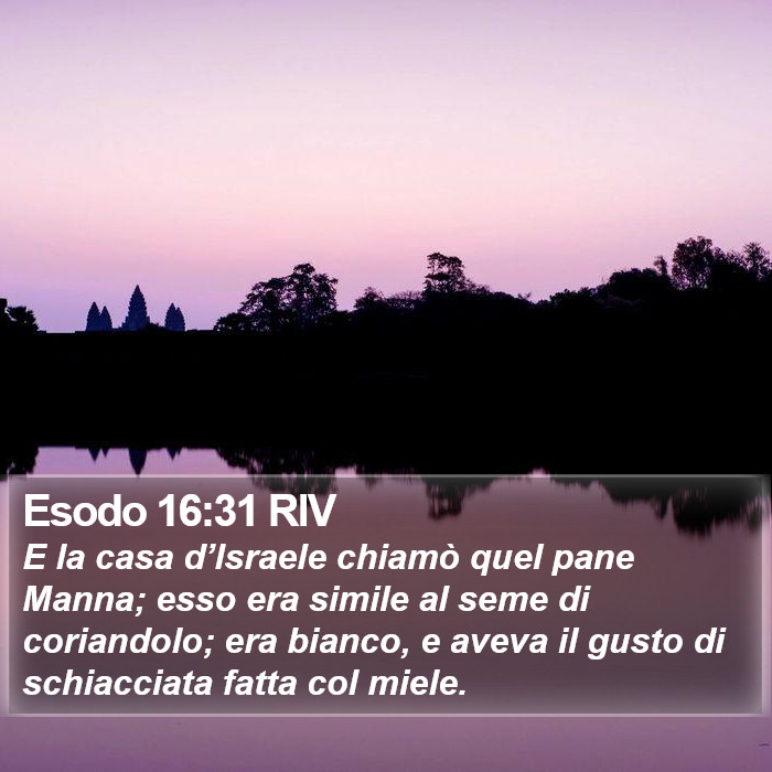 Esodo 16:31 RIV Bible Study