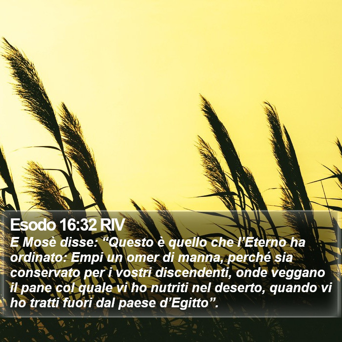 Esodo 16:32 RIV Bible Study