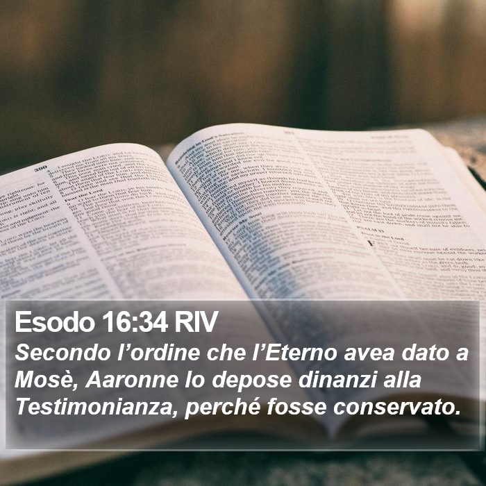 Esodo 16:34 RIV Bible Study