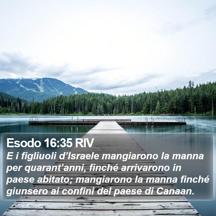 Esodo 16:35 RIV Bible Study