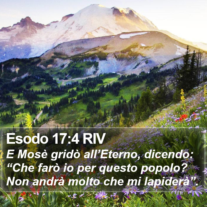 Esodo 17:4 RIV Bible Study