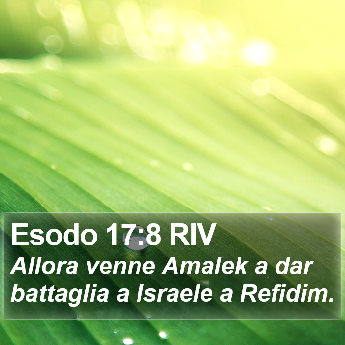 Esodo 17:8 RIV Bible Study