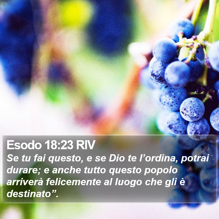 Esodo 18:23 RIV Bible Study