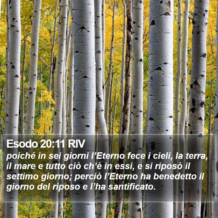 Esodo 20:11 RIV Bible Study