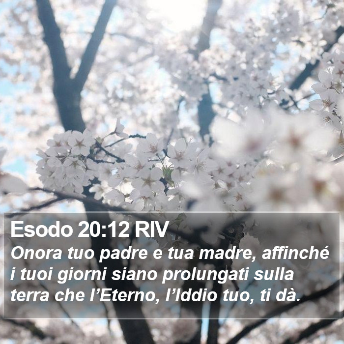 Esodo 20:12 RIV Bible Study