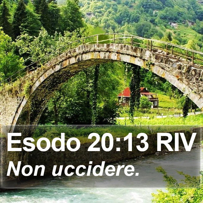 Esodo 20:13 RIV Bible Study