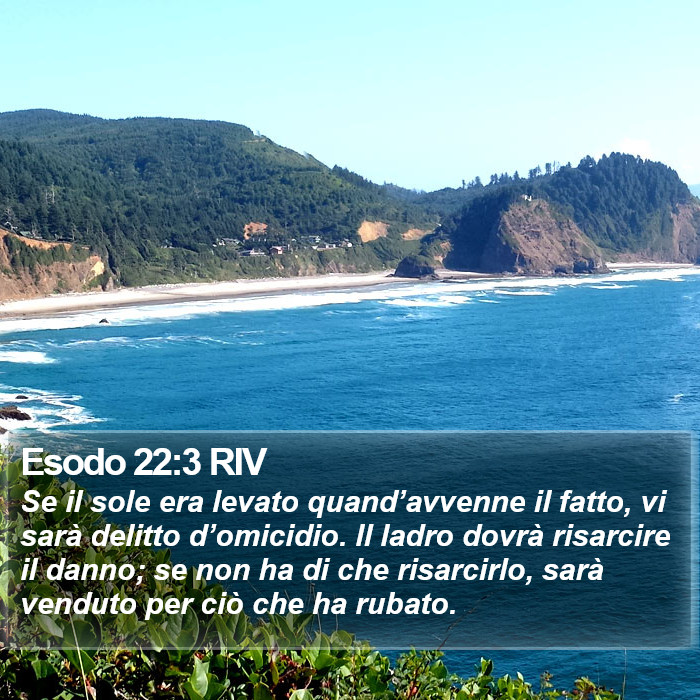 Esodo 22:3 RIV Bible Study