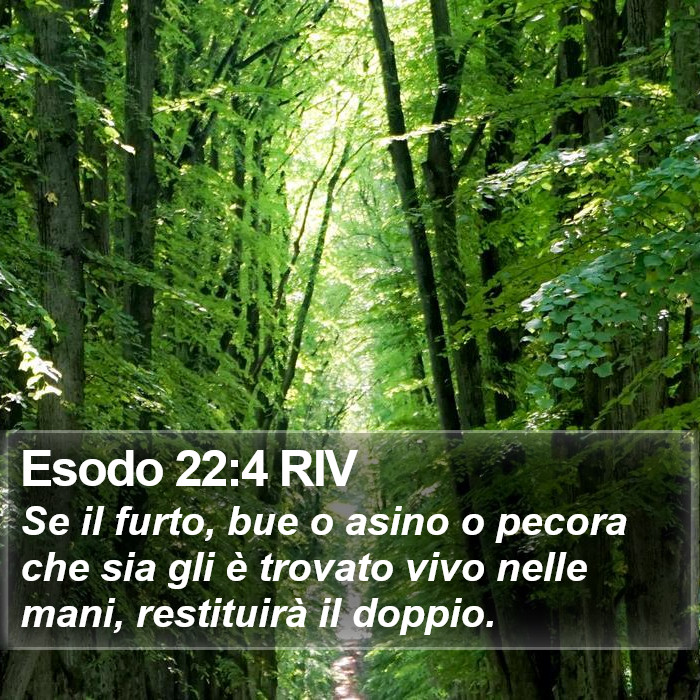 Esodo 22:4 RIV Bible Study