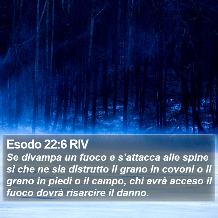 Esodo 22:6 RIV Bible Study
