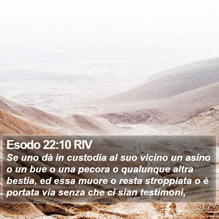 Esodo 22:10 RIV Bible Study