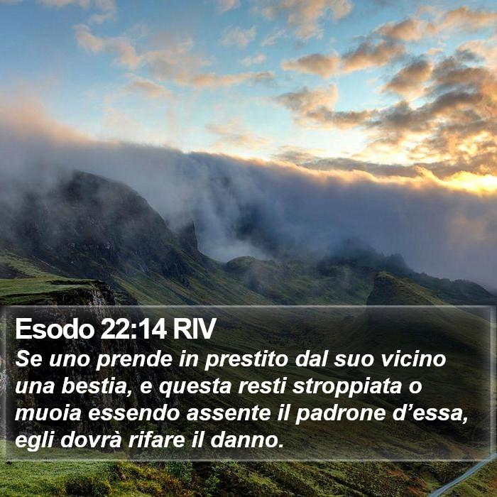 Esodo 22:14 RIV Bible Study