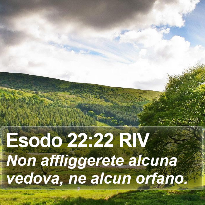 Esodo 22:22 RIV Bible Study