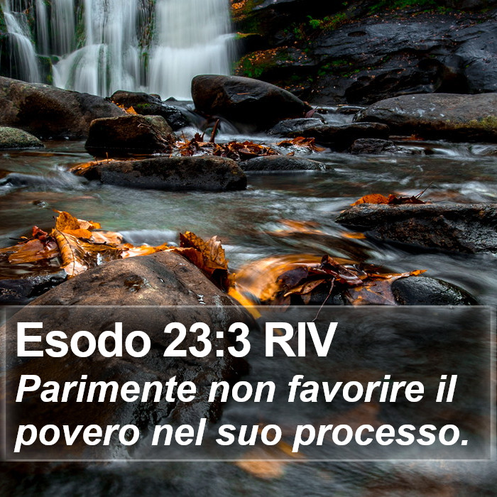 Esodo 23:3 RIV Bible Study