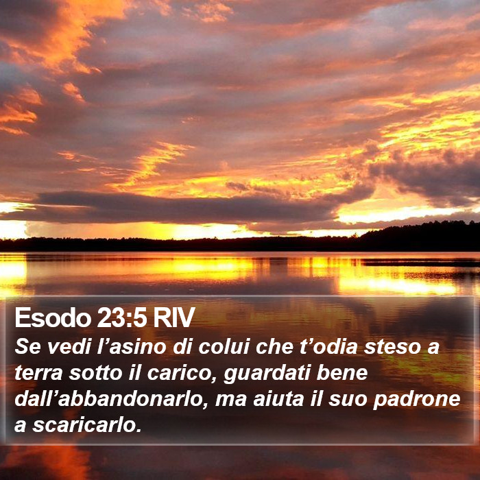 Esodo 23:5 RIV Bible Study