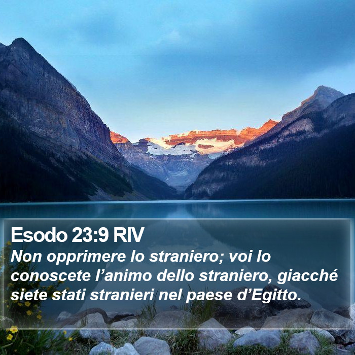 Esodo 23:9 RIV Bible Study