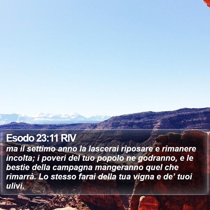 Esodo 23:11 RIV Bible Study