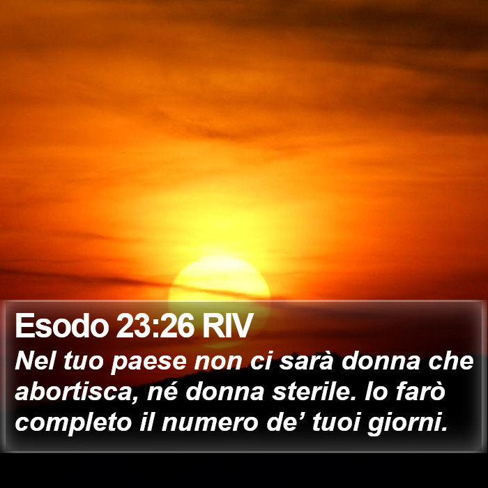 Esodo 23:26 RIV Bible Study