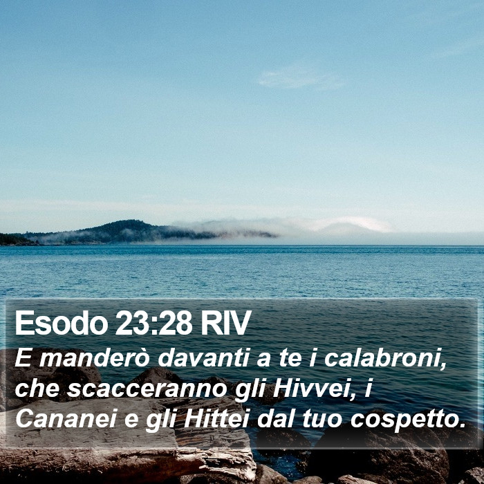 Esodo 23:28 RIV Bible Study