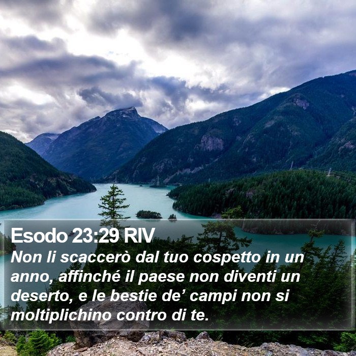 Esodo 23:29 RIV Bible Study