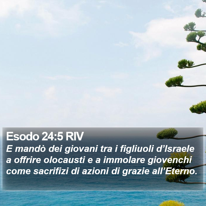 Esodo 24:5 RIV Bible Study