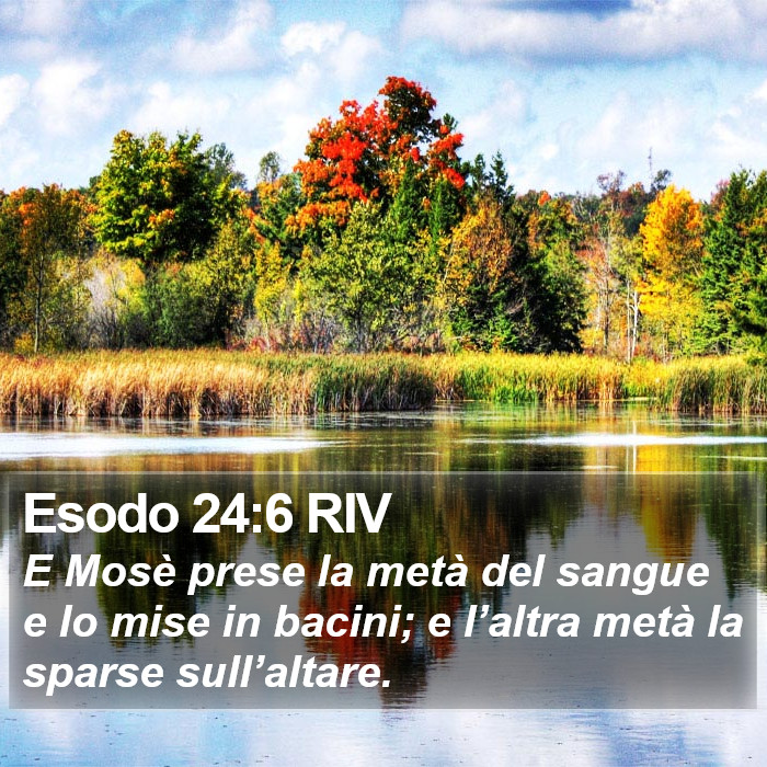 Esodo 24:6 RIV Bible Study