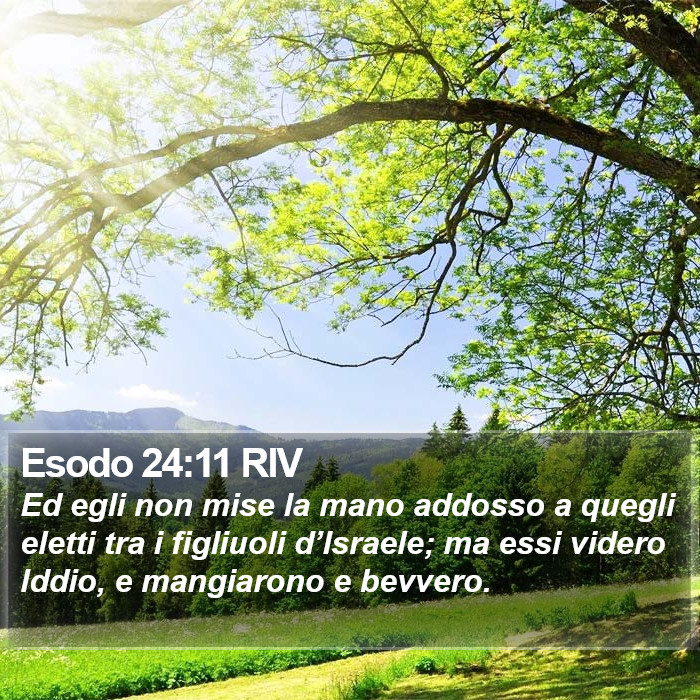 Esodo 24:11 RIV Bible Study