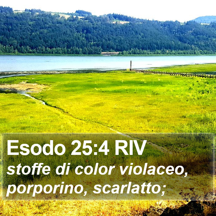 Esodo 25:4 RIV Bible Study