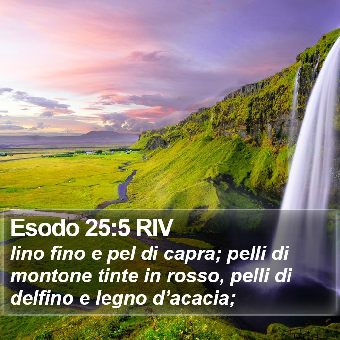 Esodo 25:5 RIV Bible Study