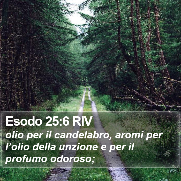 Esodo 25:6 RIV Bible Study