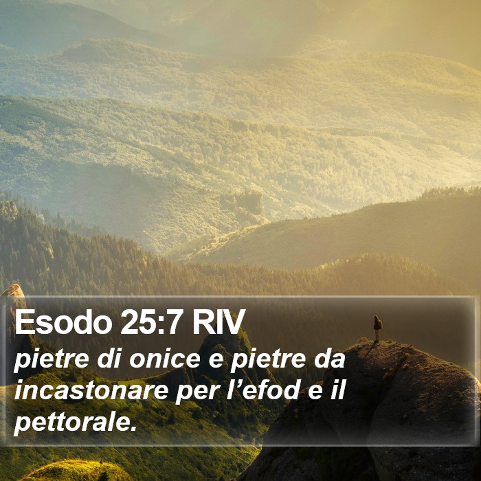 Esodo 25:7 RIV Bible Study